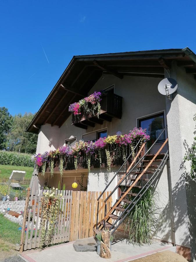 Ferienwohnung Egelkraut Schwarzenbach an der Saale Exterior foto